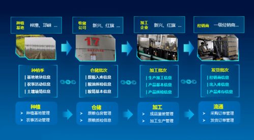 科技賦能，守護“天府糧倉”——川糧集團以全產(chǎn)業(yè)鏈云碼溯源引領(lǐng)糧油質(zhì)量安全新標(biāo)桿